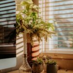 resized_35_api